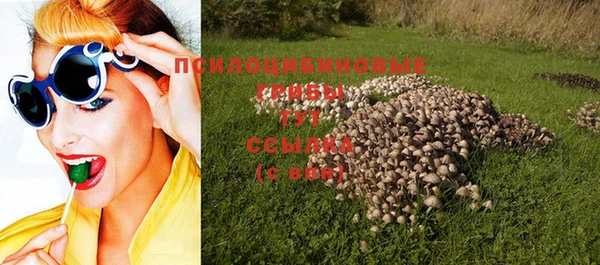 mix Алексин
