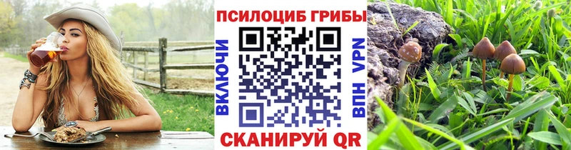 Псилоцибиновые грибы мицелий Баймак