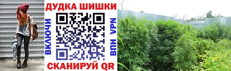 где найти наркотики  Баймак  Марихуана AK-47 